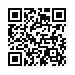 4-641313-3 QRCode