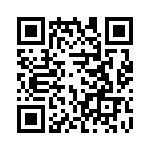 4-641313-4 QRCode