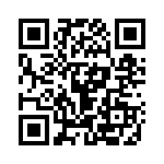 400404 QRCode