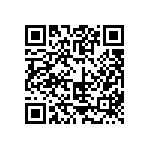 410-87-262-41-001101 QRCode