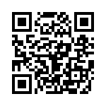 416F27133IDR QRCode