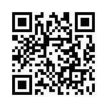 4175 QRCode