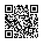 4281-4SG-300 QRCode