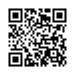 4291-4PG-300 QRCode