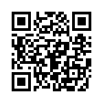 4291-6PG-300 QRCode