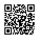 4381-4SG-300 QRCode