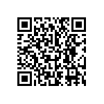 445I33J13M00000 QRCode