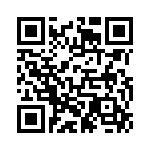 45J33R QRCode