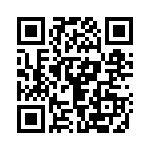 4N333S QRCode