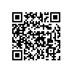 51740-10404004AA QRCode