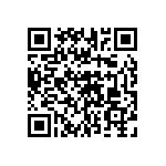 51742-10600800AA QRCode