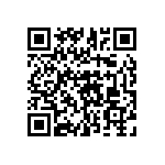 51760-10602806AA QRCode