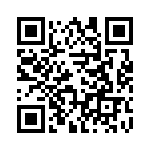 54101-G34-02 QRCode