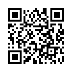 54101-T06-02 QRCode