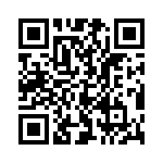 54101-T30-03 QRCode