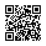 54101-T30-05 QRCode