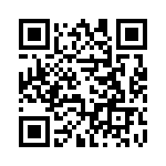 54102-T05-00 QRCode