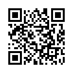 54102-T06-00 QRCode