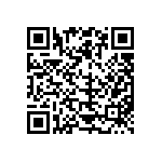 54122-411242500LF QRCode