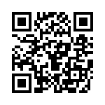 55101-G11-06 QRCode