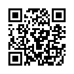 591KB-BDG QRCode