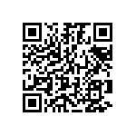 60110685740710 QRCode