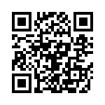 61-168211-04P QRCode