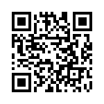 61083-061009 QRCode