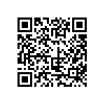 612-87-424-41-001101 QRCode