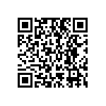 614-87-424-41-001101 QRCode