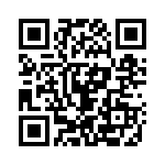 61Z256 QRCode