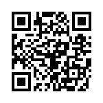 638E16113I3T QRCode