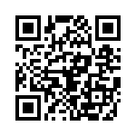 653E17505I2T QRCode