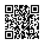 653E4005I2T QRCode