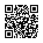 653P12506A2T QRCode