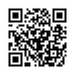 653P4002I3T QRCode