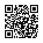 656P16116C2T QRCode