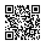 691101710002 QRCode