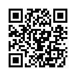 713119 QRCode