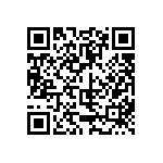 801-87-013-10-173101 QRCode