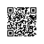 802-V3-062-10-193101 QRCode