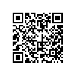 803-87-038-65-001101 QRCode