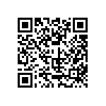 804-V3-063-10-193101 QRCode