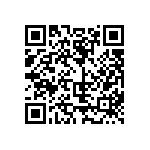 807-22-001-30-004101 QRCode