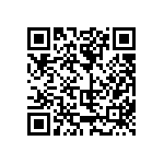 811-22-013-30-000101 QRCode