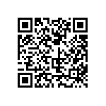 811-SS-004-30-022101 QRCode