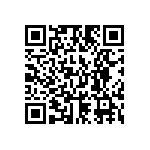 812-22-013-30-000101 QRCode