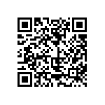 813-22-022-30-006101 QRCode