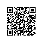 813-22-028-30-004101 QRCode