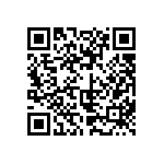 813-S1-028-10-016101 QRCode